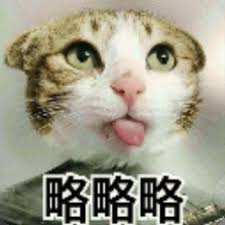 situs slot online via gopay Anak kucing itu membuka mulutnya dan berkata, 'Hakim, dapatkah Anda mendengar saya?' 